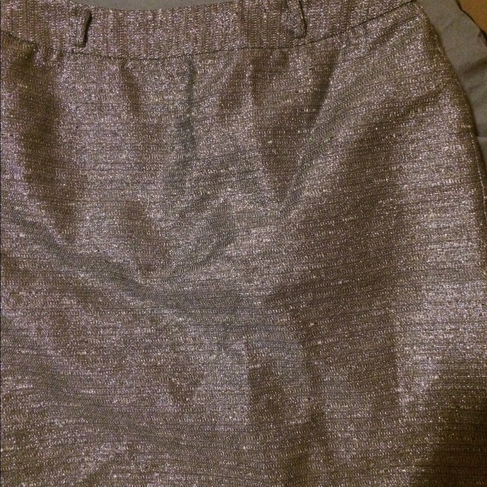 Women’s Silver Skirt